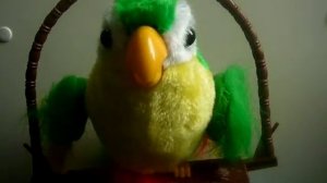 Попугай повторюшка