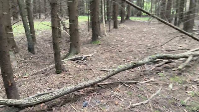 ОГРОМНЫЕ ПОЛЯНЫ ГРИБОВ! Грибник ЧАВКАЕТ, когда ЕСТ эту ВКУСНЯТИНУ! ШАМПИНЬОНЫ! Грибы 2022 смотреть онлайн