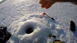 ПОНЕСЛАСЬ! ЛОВЛЯ ЛЕЩА на БЕЗМОТЫЛКУ! Зимняя рыбалка на РЕКЕ. #Зимняярыбалка #лещ #безмотылка