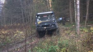 ГАЗ - 66 | Pinzgauer 6x6 | Cherokee | Defender | Hover | Pajero | Mercedes | OFF - ROAD Часть 1
