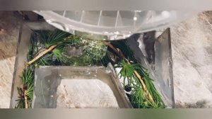 Рукоять с эпоксидной смолы Как сделать ручку пилы