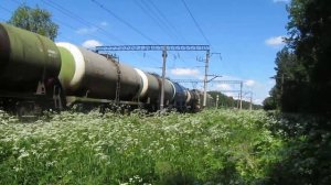ГЖД ВЛ80С-1309 С Грузовым поездом, ст.Ройка