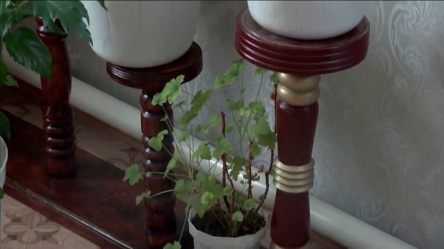 Резчик по дереву Леонид Замиралов творит в деревне Верхнее смотреть онлайн