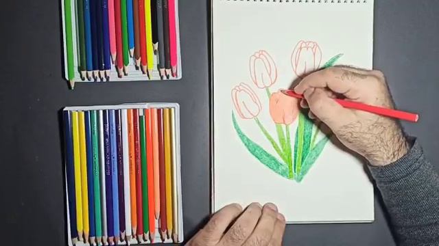 how easy it is to draw beautiful tulips (color pencil) ما مدى سهولة رسم زهور التوليب الجميلة