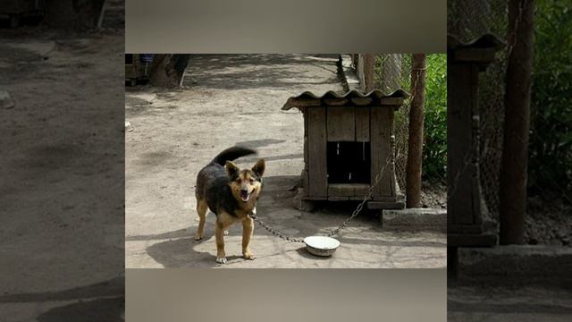 Как Бог годы жизни отмерял!🤔😏 смотреть онлайн