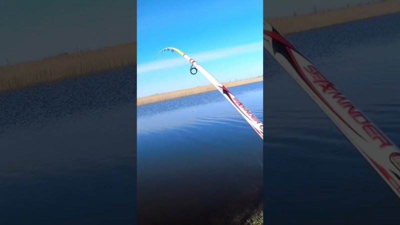 ВЕСНА В РАЗГАРЕ! КАРАСЬ ДУРЕЕТ))