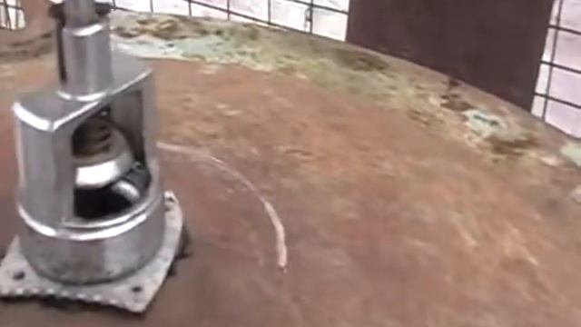 копчение гуся