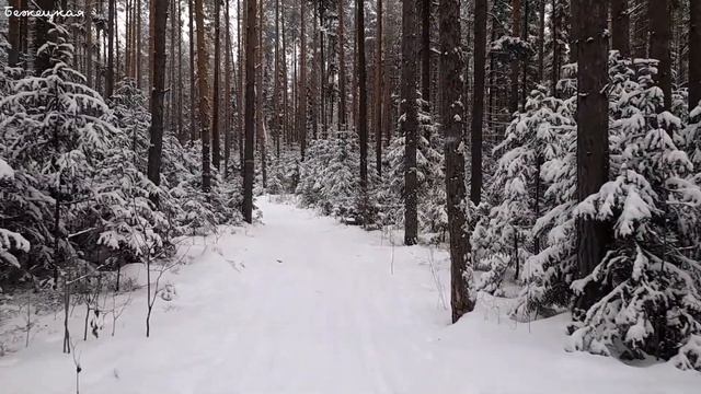 Приехала на Средний Урал. Решила закаляться.