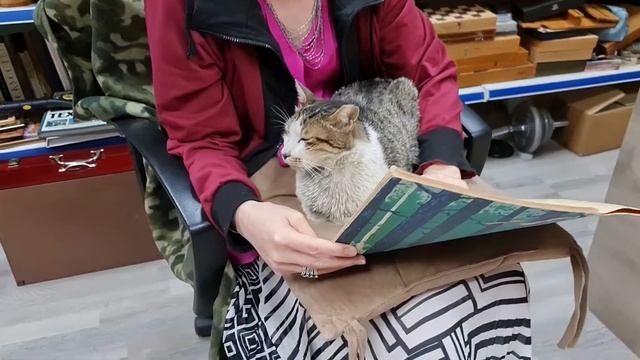 А почитай-ка мне сказку.Михалыч.#cat #животные #кот