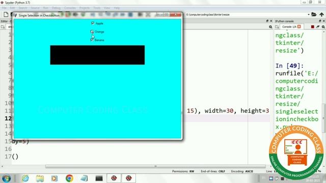 Checkbox to Behave Like Radio Button | Checkbox Single Selection | Python Tkinter Tutorial