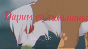 ❌🐾Коты воители клип🐾❌💖🥀мама извини но судьбу мы поломали🥀💔