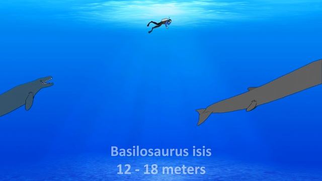 Basilosaurus = Extinct whale with back legs? - Animated Size Comparison смотреть онлайн