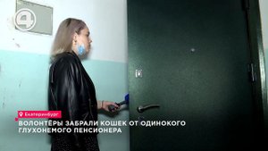 Волонтёры забрали кошек от одинокого глухонемого пенсионера