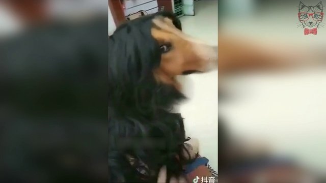 Разрешите Познакомиться