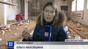 Тысячи кур, уток и гусей живут на частной ферме на юге края