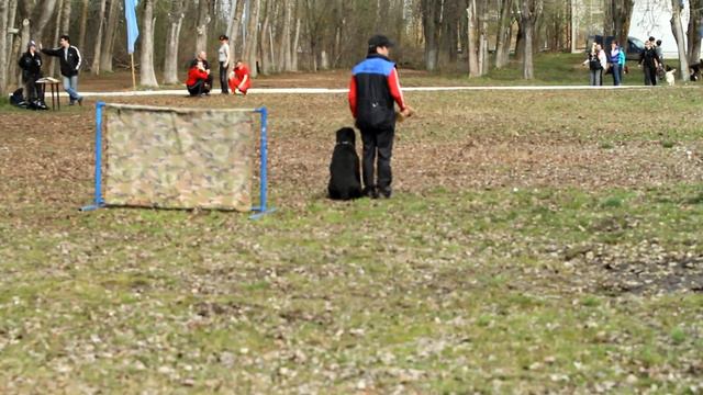 Ривьера из Дома Торра испытания ИПО-1 раздел В - 70