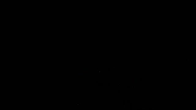 10 Октября, отмечаем мое день рождения, corn maze & peanut putch смотреть онлайн