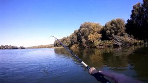 Рыбалка на Оке в Акатьево  Ловля Окуня на спиннинг