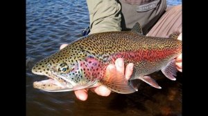 Разведение рыбы как бизнес/ Бизнес идея на дому /УЗВ/ Актуальная бизнес идея 2021.