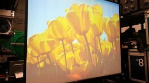 Proyector Sanyo Plc Xu48 *x 2 Proyectores* - 3000 Ansi