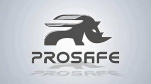 Группа компаний PROSAFE | Надежность, проверенная временем