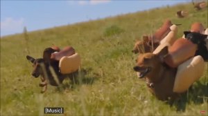 Смешная реклама кетчупа