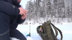 ЛУЧШАЯ ПРИМАНКА НА ОКУНЯ!!! ВТОРОЙ ГОД ЕЕ НЕ СНИМАЮ!!!