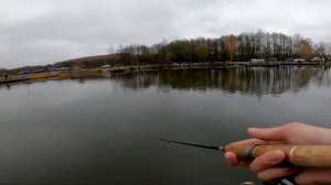 Ловля форели. РК Фишка Данилово. Крупная форель. Осень