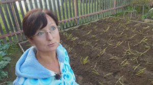 Видео привет с 6 соток 4 августа 2024 года.