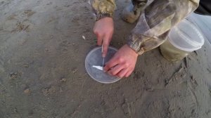 Судак на малька