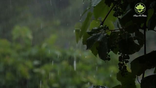 Самая Нежная и Ласковая Музыка Для Души. Шум Дождя Для Безмятежного Сна | TIME TO RELAX #2