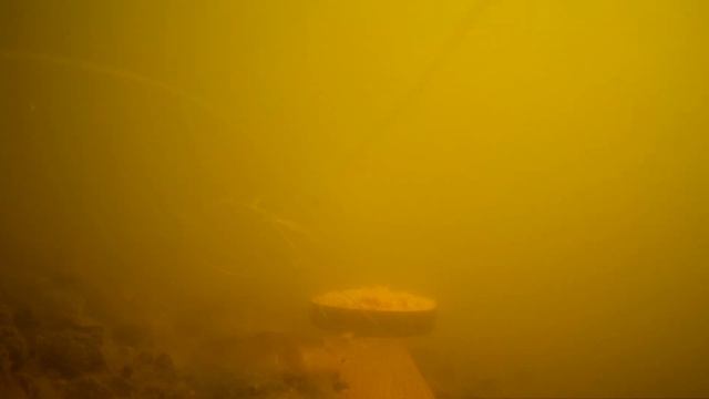 МАНКА С КОПЧЕНОЙ ПАПРИКОЙ! НА РЫБАЛКЕ ЛУЧШЕ СДЕЛАТЬ ПРОСТО МАНКУ, РЕАКЦИЯ РЫБЫ!