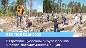 В Орехово-Зуевском округе прошла эколого-патриотическая акция «Лес Победы»