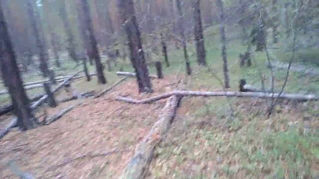 Ловушка на медведя (огород) смотреть онлайн