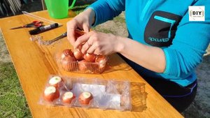 Как вырастить лук в пластиковой упаковке из яиц на подоконнике  Лук на зелень своими руками Перо