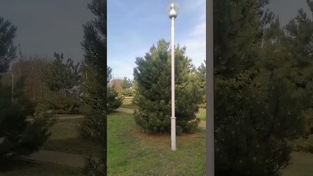 у нас лето, гуляем в Андреевском парке#жизньуморя
