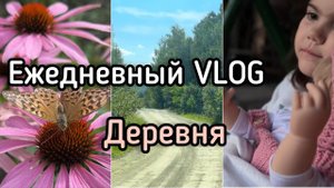 Приехали в деревню/ ежедневный влог / август .