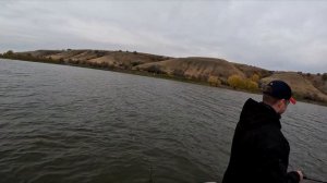 Рыбалка на судака в корягах,на Дону. октябрь 2023
