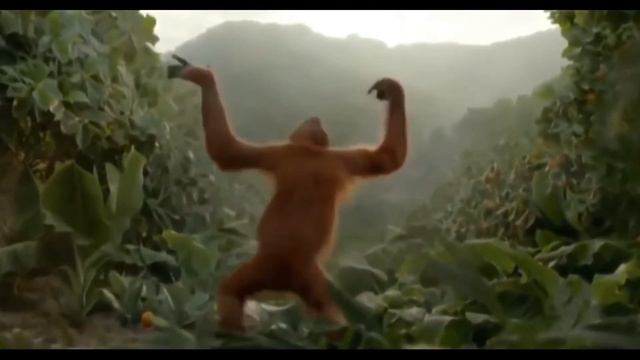 Орангутан танцует смотреть онлайн