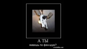 Мотологический фэн шуй | Как разговаривать с коллекторами по телефону