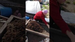 Ват так просеиваем землю для грядок и теплиц