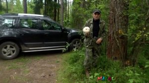 Грибы Зонтики. Подгруздок Белый.