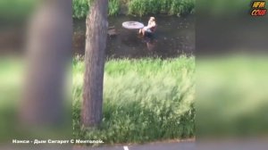 HFM COUB BEST CUBE Best Coub Приколы 2021(1)(3)