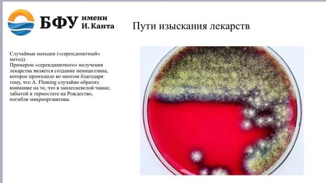 Источники получения Лекарственных Средств