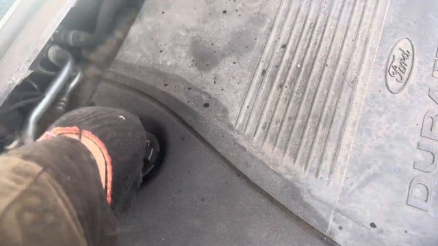 Разборка Ford - Focus 2 2008-2011 1.8 (VIN: WF0PXXGCDP8G15442) DY09LJZ смотреть онлайн