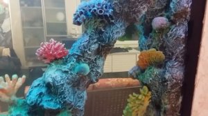 Аквариум из оргстекла. Акриловое стекло.Ударостойкость и супер прозрачность!