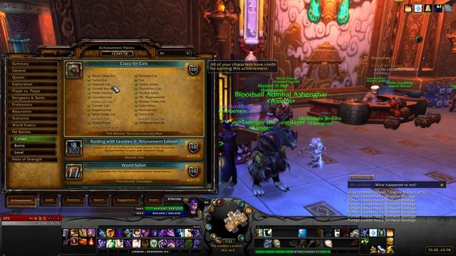 Achievements - Crazy For Cats смотреть онлайн