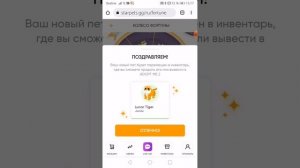 что случилось со стар петс? петы подорожали? ??
