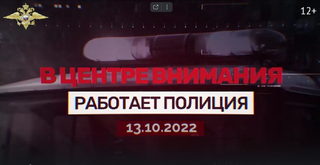 Выпуск 30. В центре внимания. Работает полиция