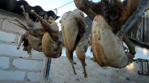 Копчение фазана часть1.Smoked pheasant part1.